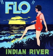  FLO Vintage Florida Citrus Crate Label Art Print Indian River Sexy Girl Red 3 
