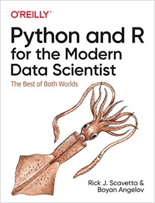 Python und R für den modernen Datenwissenschaftler: Das Beste aus beiden Welten Rick Scav...