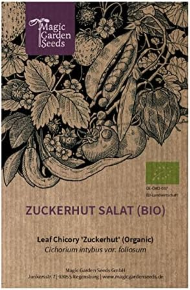 Radicchio "Pan di Zucchero" (Cichorium intybus var. foliosum) biologico - circa