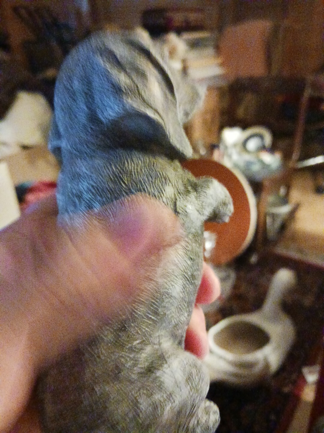 Picture 4 of 7