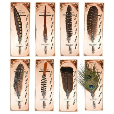 Plume vintage plume d'oie plume stylo fontaine stylos calligraphie écriture sty