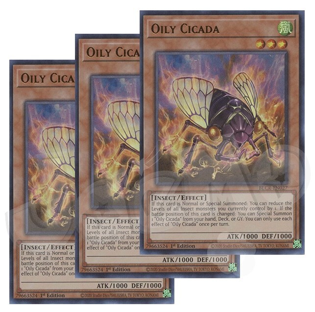 Yugioh - Oily Cicada x 3 - 1st Edition Ultra Rare NM - Free Holographic Card | eBay Yugioh - Oily Cicada x 3 - 1st Edition Ultra Rare NM - Free Holographic Card | eBay