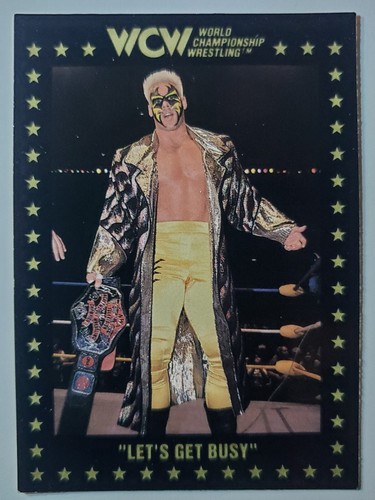 1991 Championship Marketing WCW #86 STING LET'S GET BUSY
