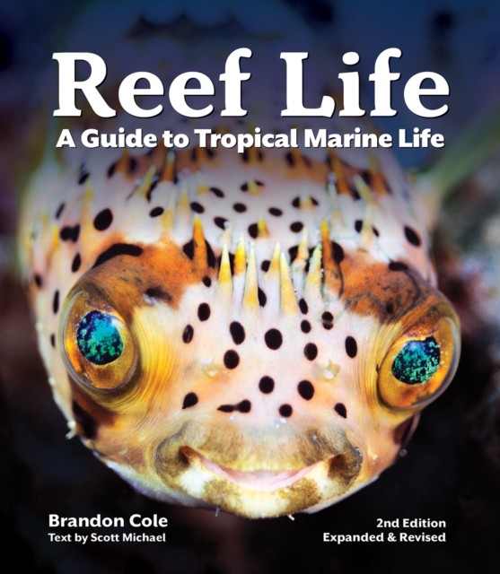 Reef Life: A Guide to Tropical Marine by Michael ScottBrandon Cole (PB 2020) - Image 7