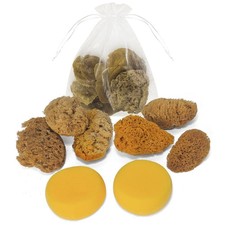 Natural Sea  Synthetic Sponges - Assorted Sizes 8pc Value Pack for Crafts  ...