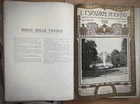 ESPOSIZIONE INTERNAZIONALE DI TORINO-50° Regno d' Italia- 1910 / 1911 -completa