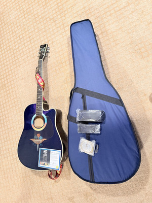 Esteban 2008 American Legacy Fireworks Celebration Limited Edition Guitar W/Case