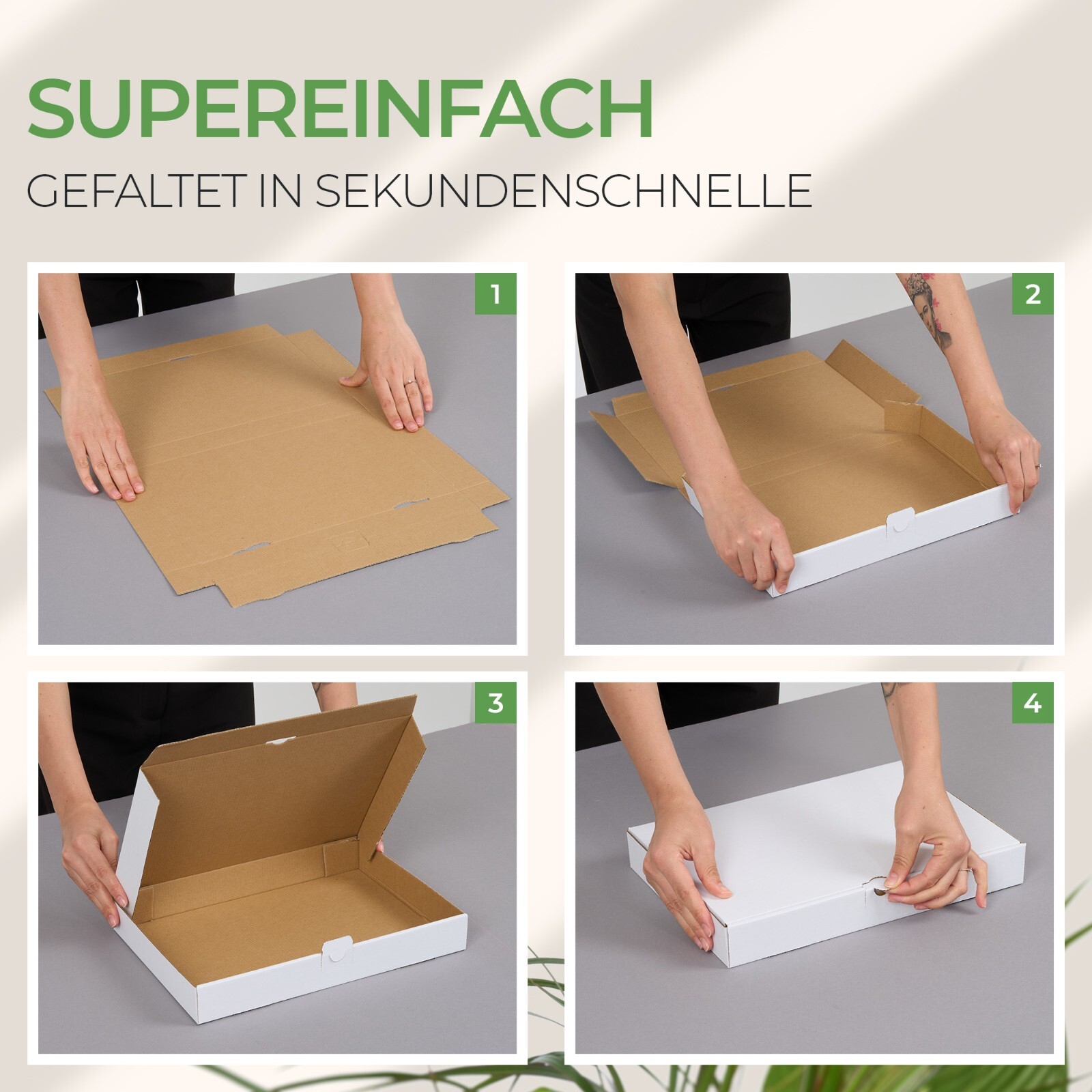 Bild 9 von 14