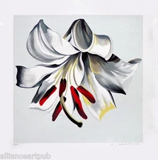 WHITE LILY ON WHITE - Beautiful Rare Floral S/N Mint Serigraph By Lowell Nesbitt