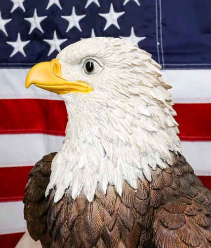 EBROS Large American Bald Eagle Perching on Tree Stump Statue 15.25"H - Picture 9 of 9