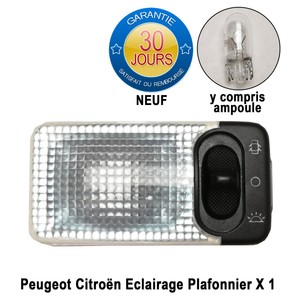 Ampoule Plafonnier 406 Annee 2001