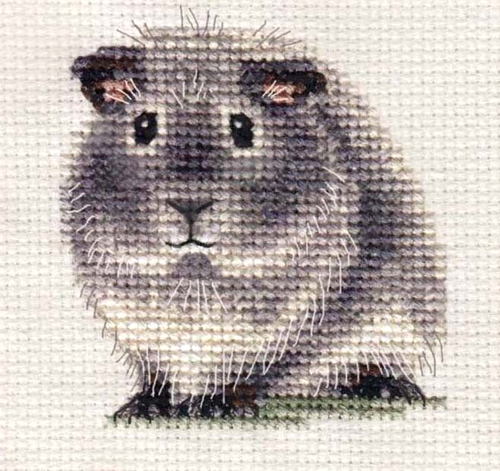 SILVER AGOUTI GUINEA PIG ~ Full counted cross stitch kit *FIDO STUDIO
