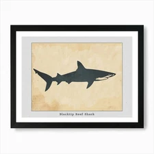 Blacktip Reef Shark Silhouette 2 Po Framed Wall Art Poster Canvas Print Picture