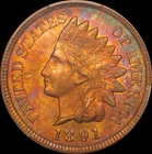 1891 1c Indian Head Cent PCGS MS 63 RB Rainbow Toned Obverse, 35th Anniversary