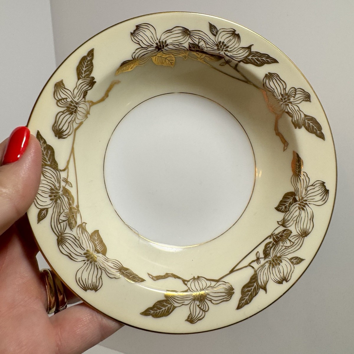 Set of 5 Vtg 1950's Noritake Floris 5088 Rim Fruit Dessert Sauce