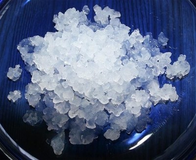 Live Water Kefir Grains growing in Evian water Ready to use