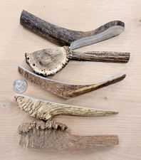 ELK SPLIT Antlers premium Crafts Dogs Chews Natural toys Fresh treats antler