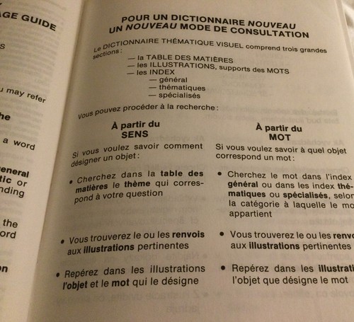 Anglicko-Francouzsky Obrazkovy Slovnik English French Picture Dictionary Czech - Picture 10 of 12