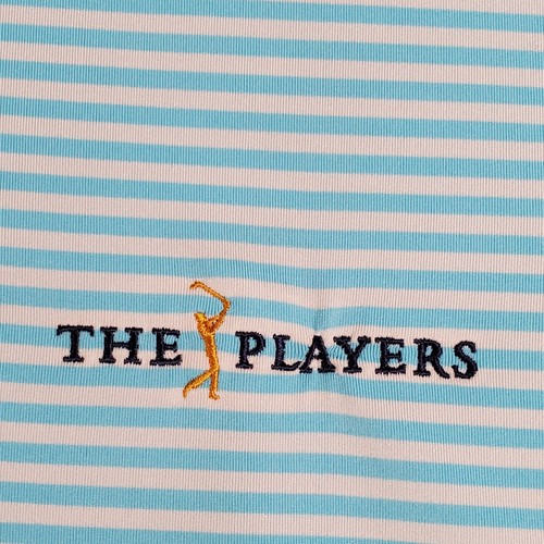 Ralph Lauren RLX Golf Polo Shirt Mens M Blue Stripe The Players TPC Sawgrass - Picture 3 of 8