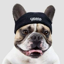 Canada Pooch Hunde Beanie im Street Look