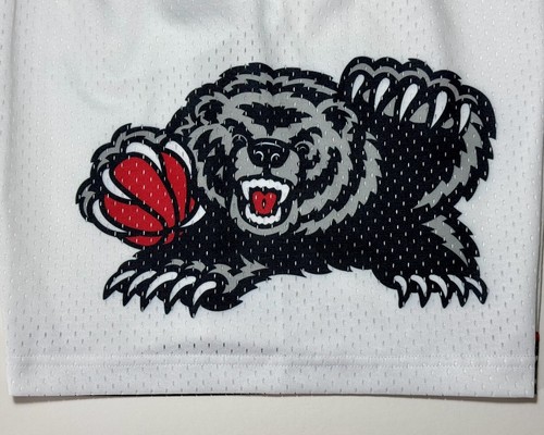 Mitchell & Ness Reload 3.0 NBA Vancouver Grizzlies 1998 Swingman Shorts Large - Picture 6 of 13
