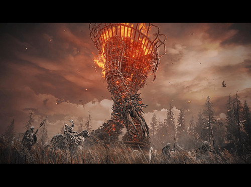 XBOXSERIES ELDEN RING: SHADOW OF THE ERDTREE EDITI - Imagen 3 de 5