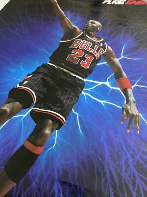 マイケルジョーダン PURE ENERGY ポスター MICHAEL JORDAN (PURE ENERGY) POSTER 新 発売
