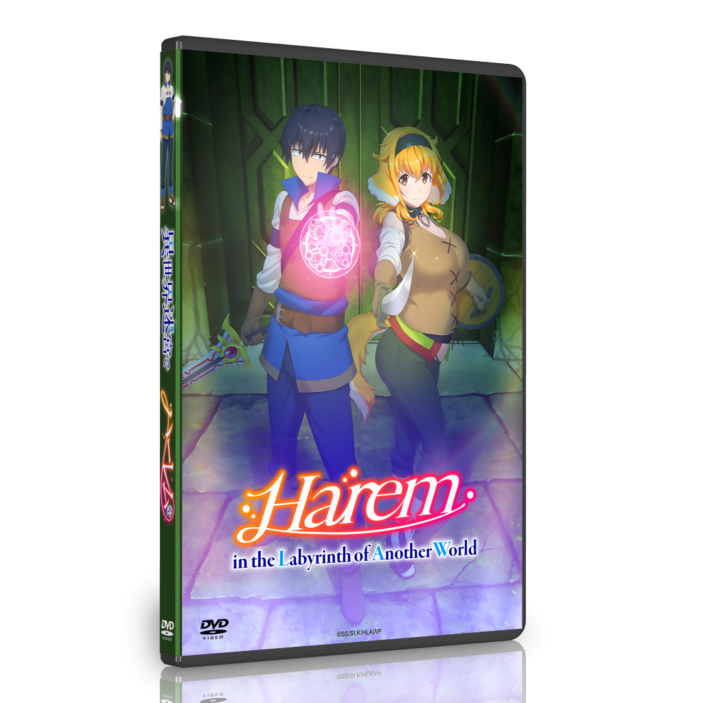 AmiAmi [Character & Hobby Shop]  DVD Harem in the Labyrinth of Another  World DVD BOX Latter Vol.(Released)