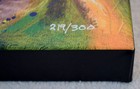 Bild 9 von 12