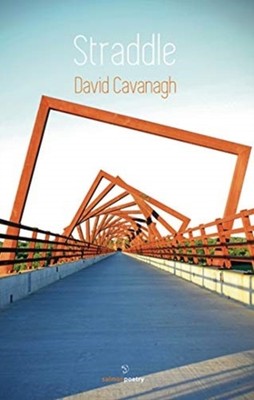 Straddle by David Cavanagh PAPERBACK 9781910669082