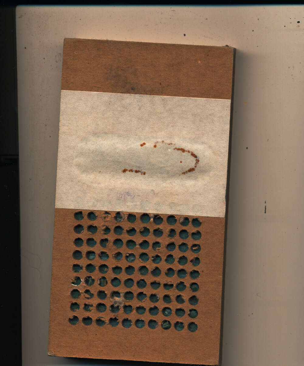 Basketball Punch card  4.5 x 2.5 bxa vintage small not used 