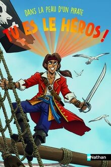 Tu es le héros - Dans la peau dun pirate - un livr... | Buch | Zustand sehr gut