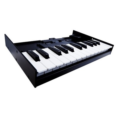 Roland K-25m Boutique 25-Key MIDI Keyboard Unit Japan | eBay