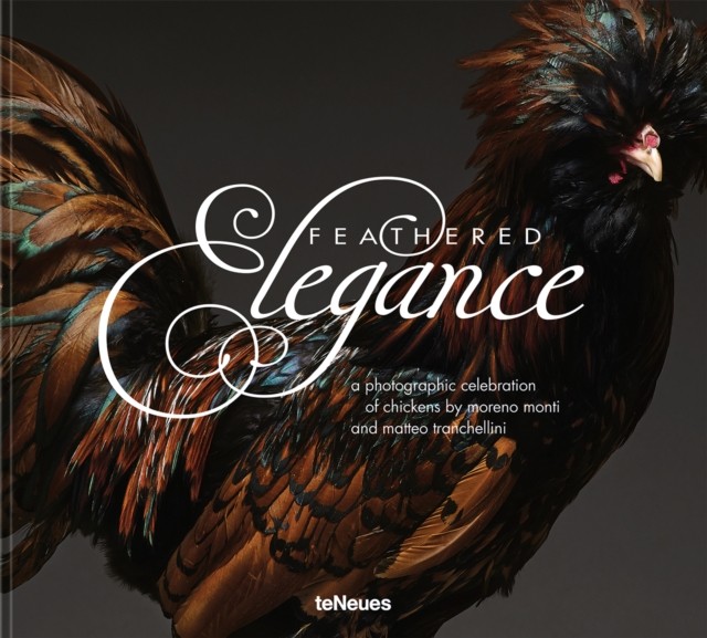Feathered Elegance : A Photographic Celebration Of Chickens Moreno Monti - Image 2