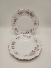 Mitterteich "Springtime" 7 7/8 Inch Salad Plate-Set of 2
