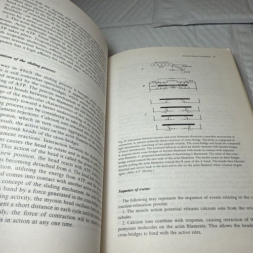 Neurophysiology 1980 Hardcover PP Newman Monographs in Modern Neurobiology UK - Picture 4 of 10