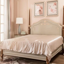 100% Mulberry Silk Duvet Cover Queen Size, Real Grade 6A+ 23 Momme Silk Quilt/Co