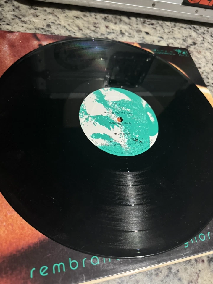 Butthole Surfers – Rembrandt Pussyhorse 12" LP Vinyl Record 2013 Pres VG+ - Image 4 of 4