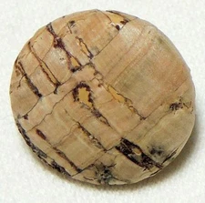 6 -7/8" (size 36) Taupe-Brown Cork Shank Back Buttons QWP410