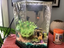 top fin 2.5 gallon hexagon fish tank black used