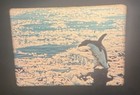 16mm Sound PORTRAIT OF ANTARCTICA 1960s Navy-produced doc AMAZING COLOR 30 Min — photo 7