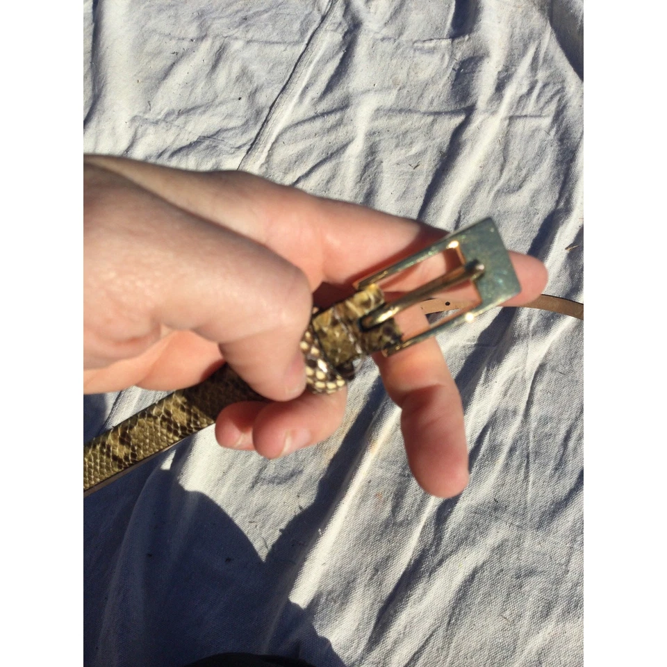 De Colección Saks Fifth Avenue Mujer Cinturón Piel Pitón S Piel Serpiente Reptil EE. UU. Foto 4 de 4