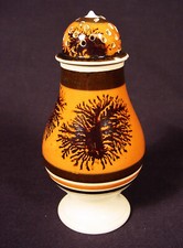 RARE 1800s MOCHA WARE SEAWEED PEPPER POT MOCHAWARE PEARLWARE STAFFORDSHIRE MINT