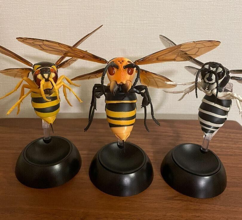 Wasp Hornet Figure Complete All 3 Set Gashapon Capsule Toy Real