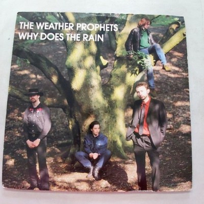 The Weather Prophets Why Does the Rain Vinyl Record WEA Rock 12 Inch