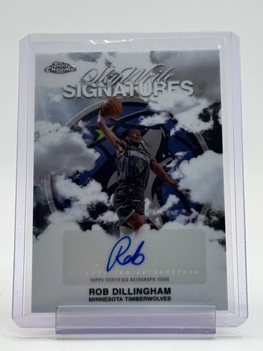 2025 Topps Chrome Rob Dillingham Sky Write Signatures (RAW)