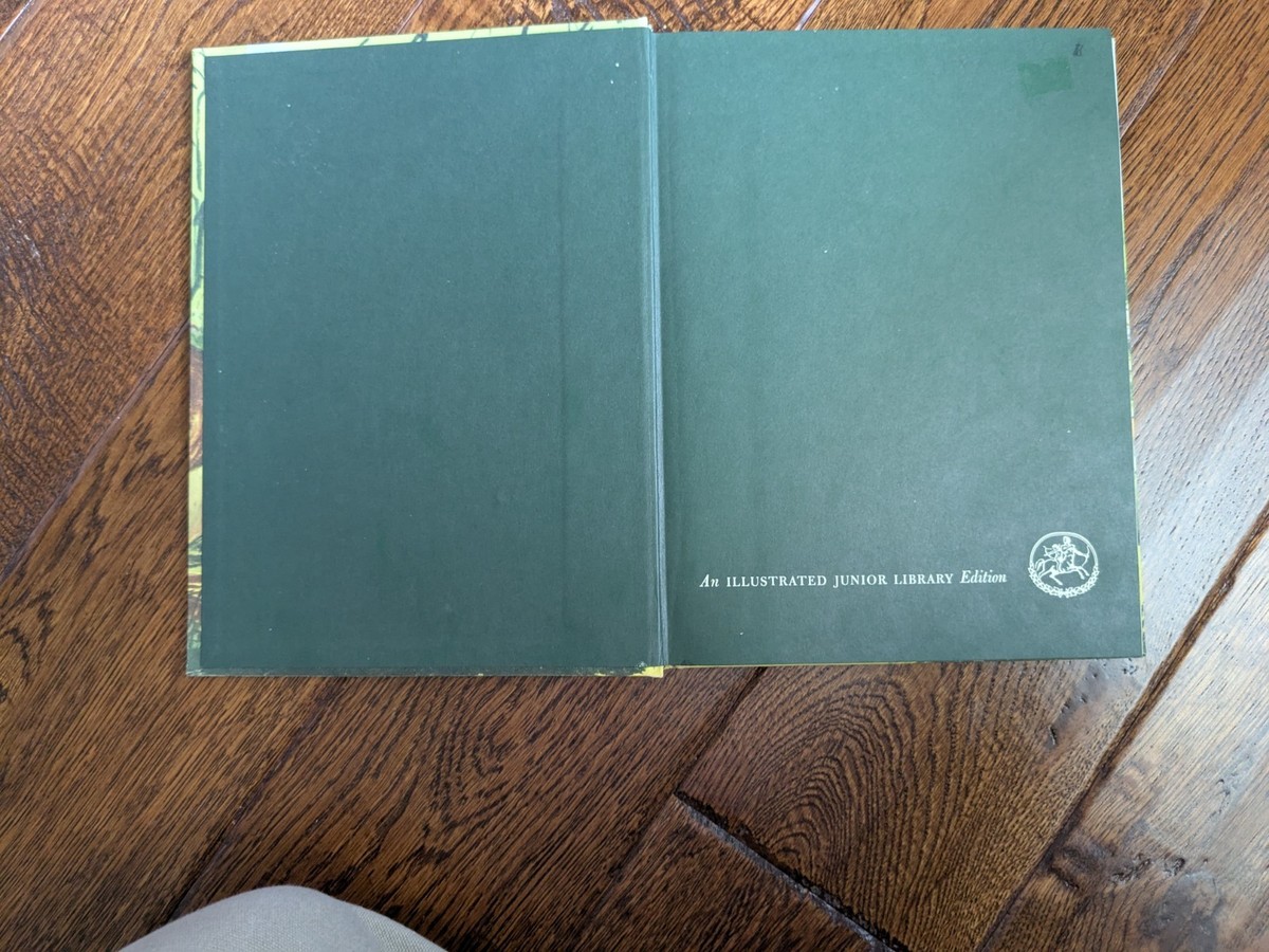 THE WIZARD OF OZ Illustrated Junior Library L Frank Baum