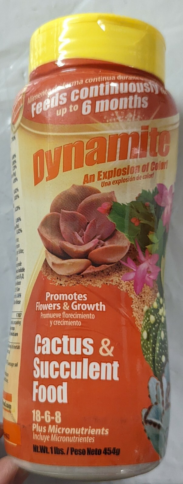 Dynamite Sun Bulb Cactus and Succulent Food eBay