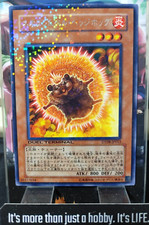 Neo Flamvell Hedgehog DT08-JP012 Rare Holo OCG Yugioh JAPAN