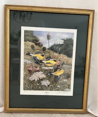 ''Goldfinch'' limited edition signed and numbered framed print by John R. Ruthven